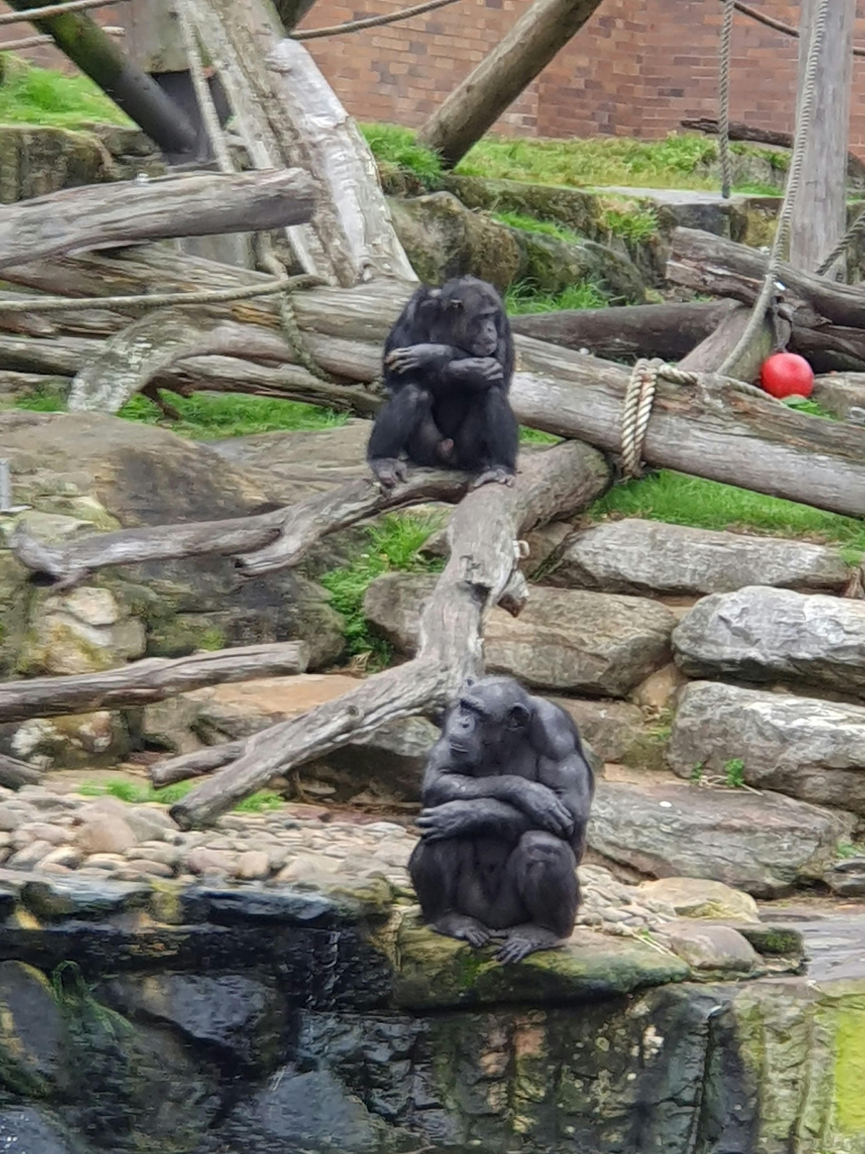 Taronga Zoo Sydney tickets | Mosman