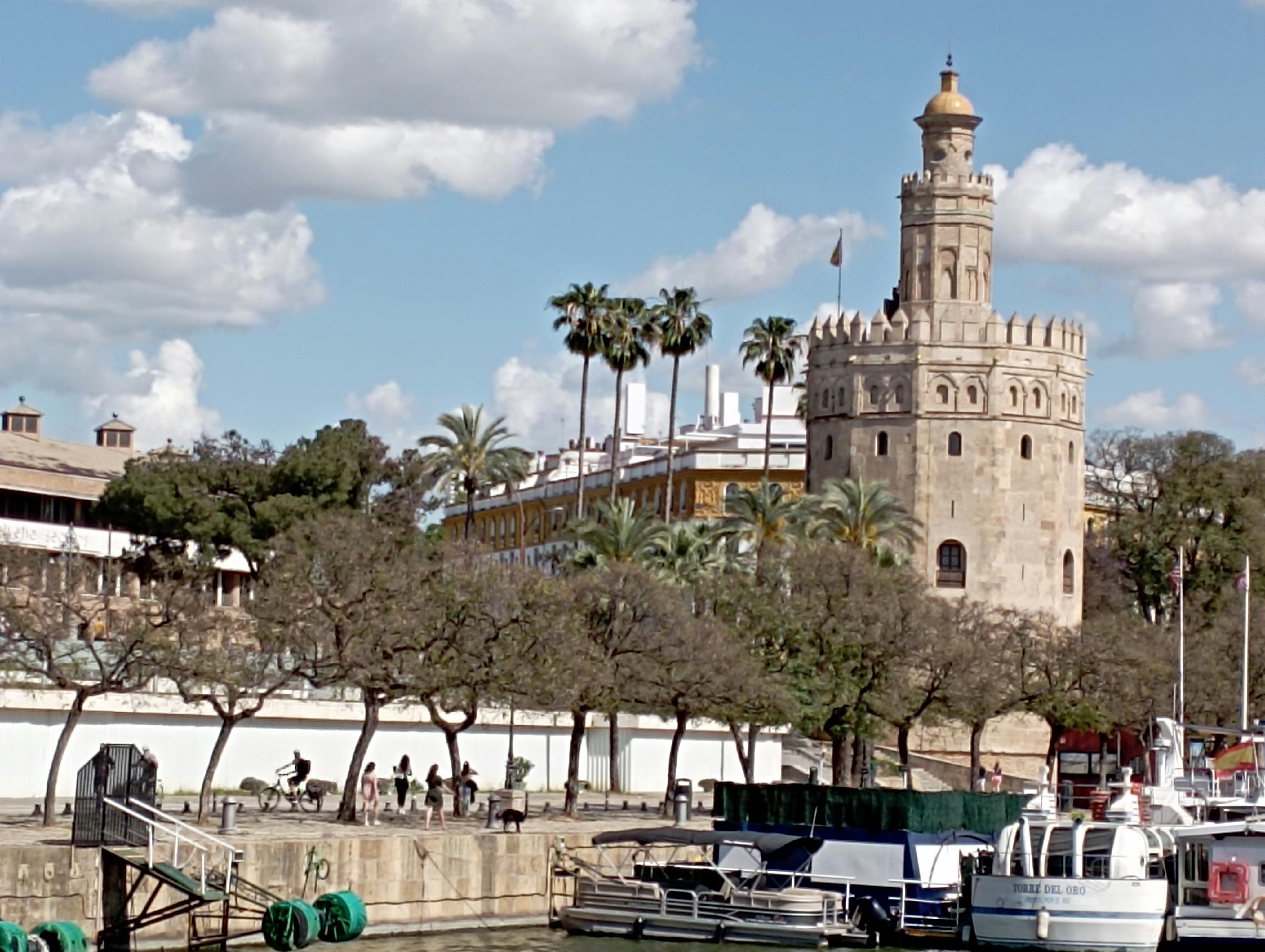 No image description available