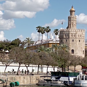 No image description available