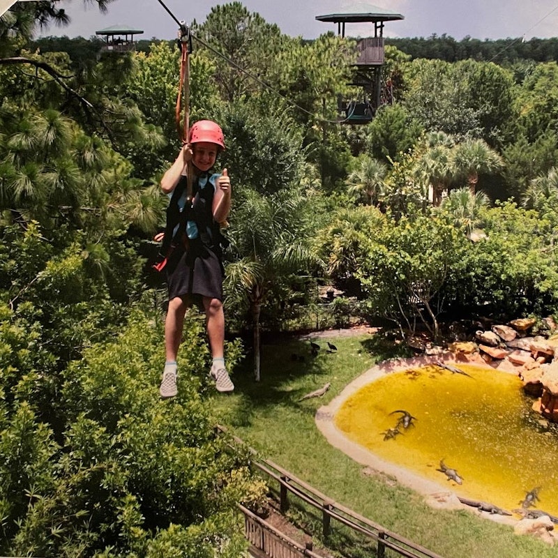 ゲイターランドオーランド スクリーミンゲイタージップライン Tiqets ゲイターランドオーランド スクリーミンゲイタージップライン Tiqets