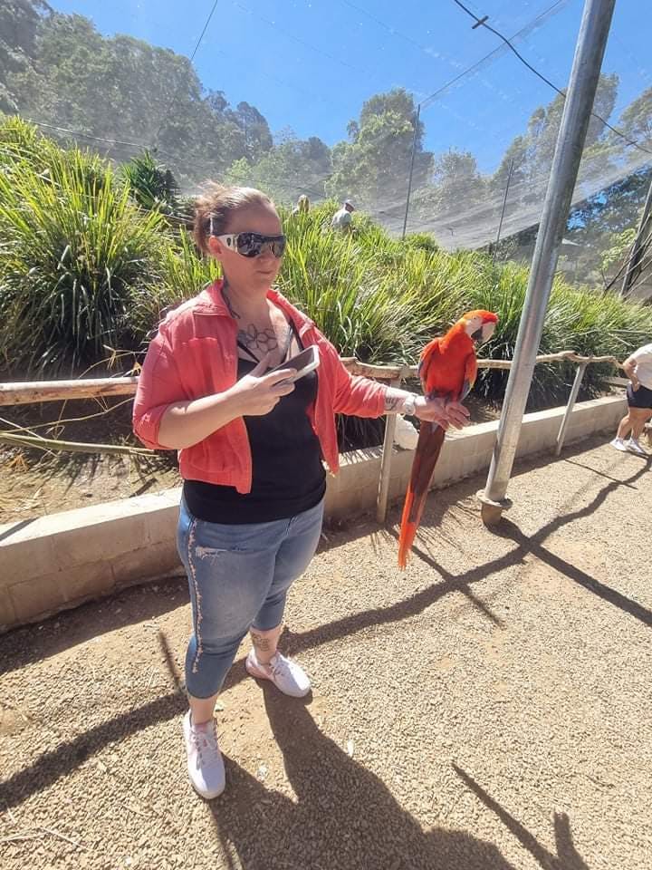 Maleny Botanic Gardens & Bird World tickets Maleny