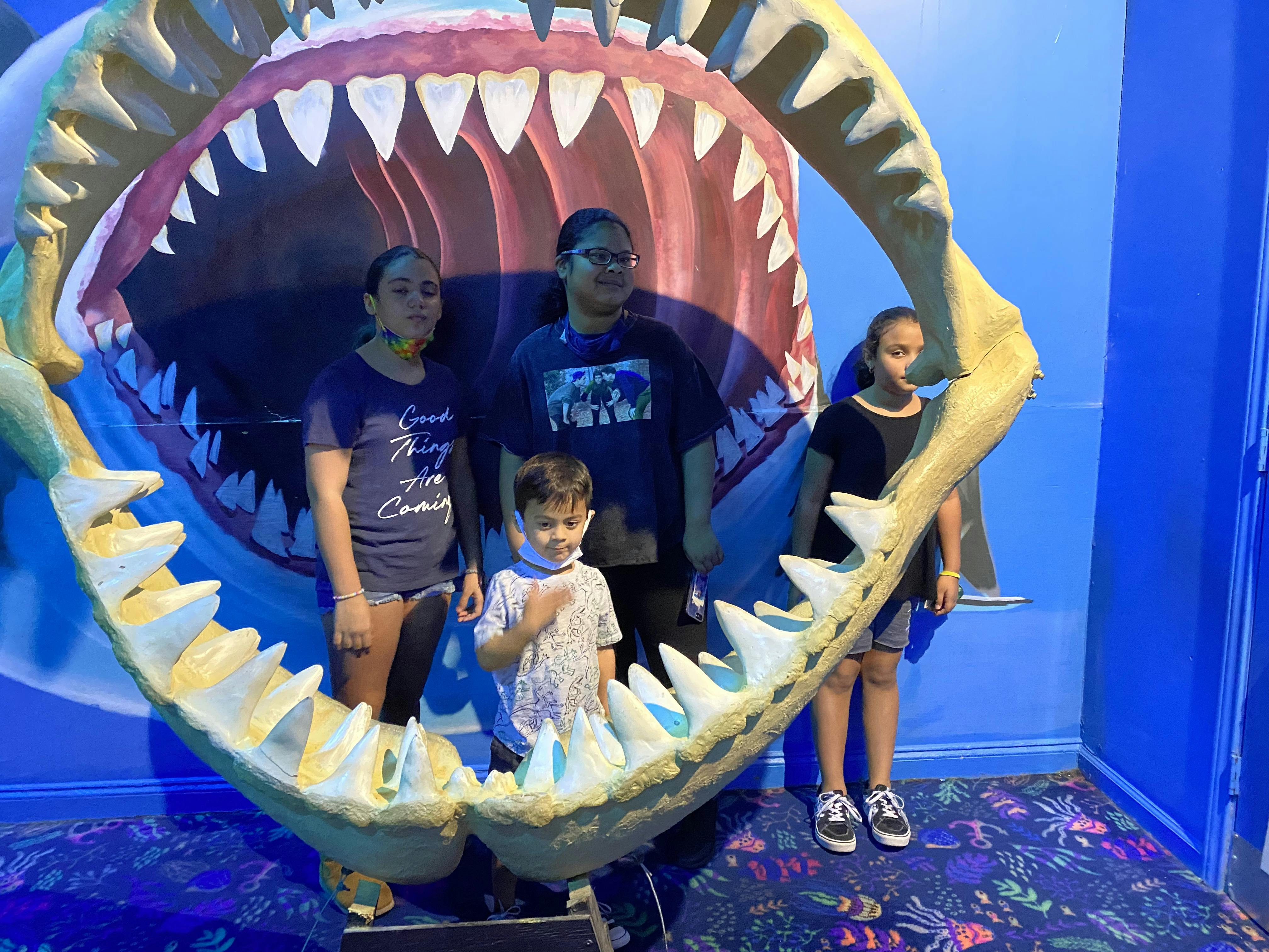 San Antonio Aquarium tickets San Antonio