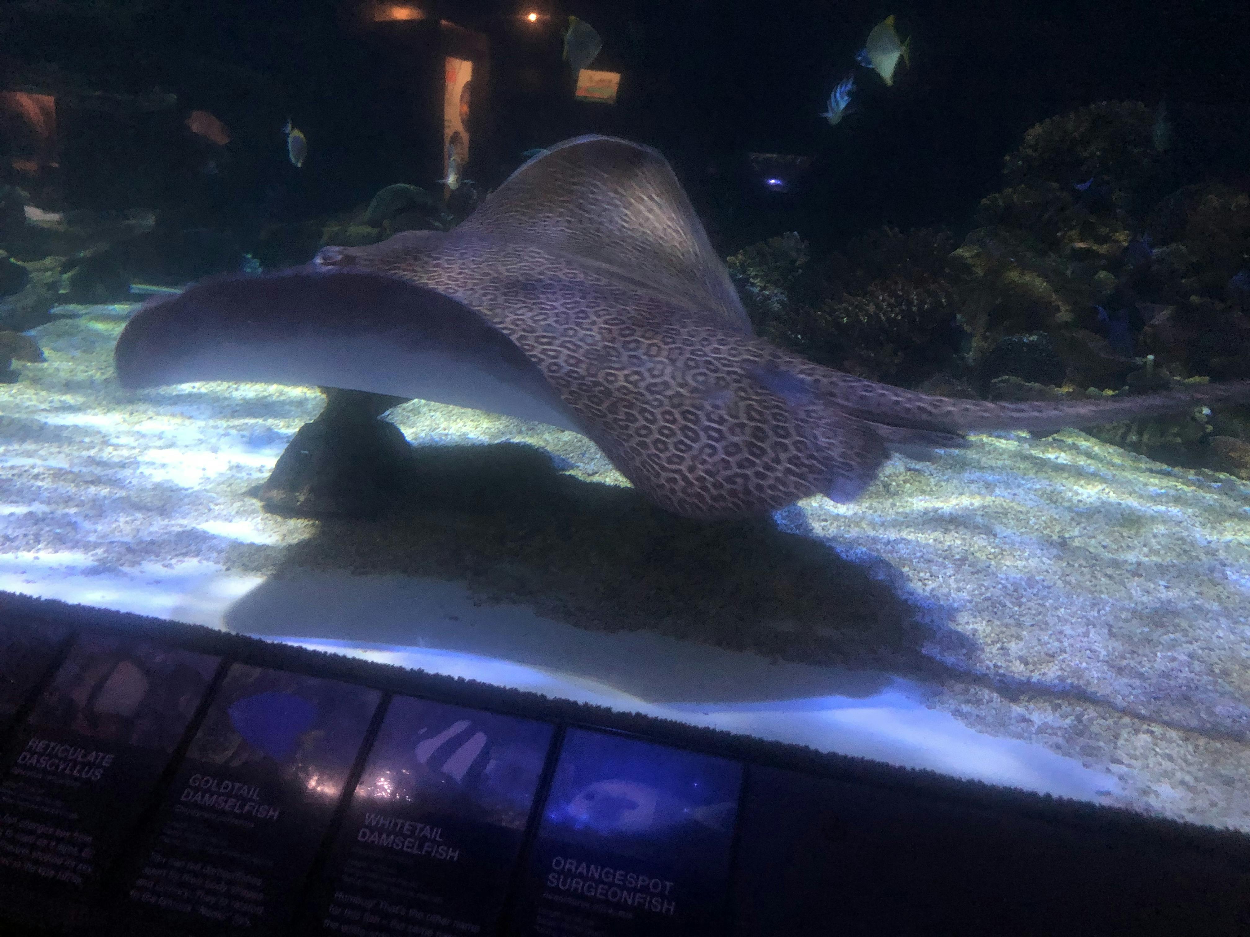 Vancouver Aquarium Tickets Book Now!