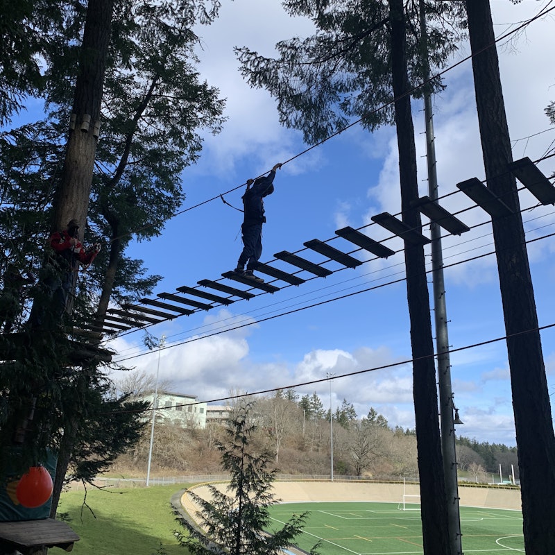 Tickets for WildPlay Element Parks Victoria | Tiqets