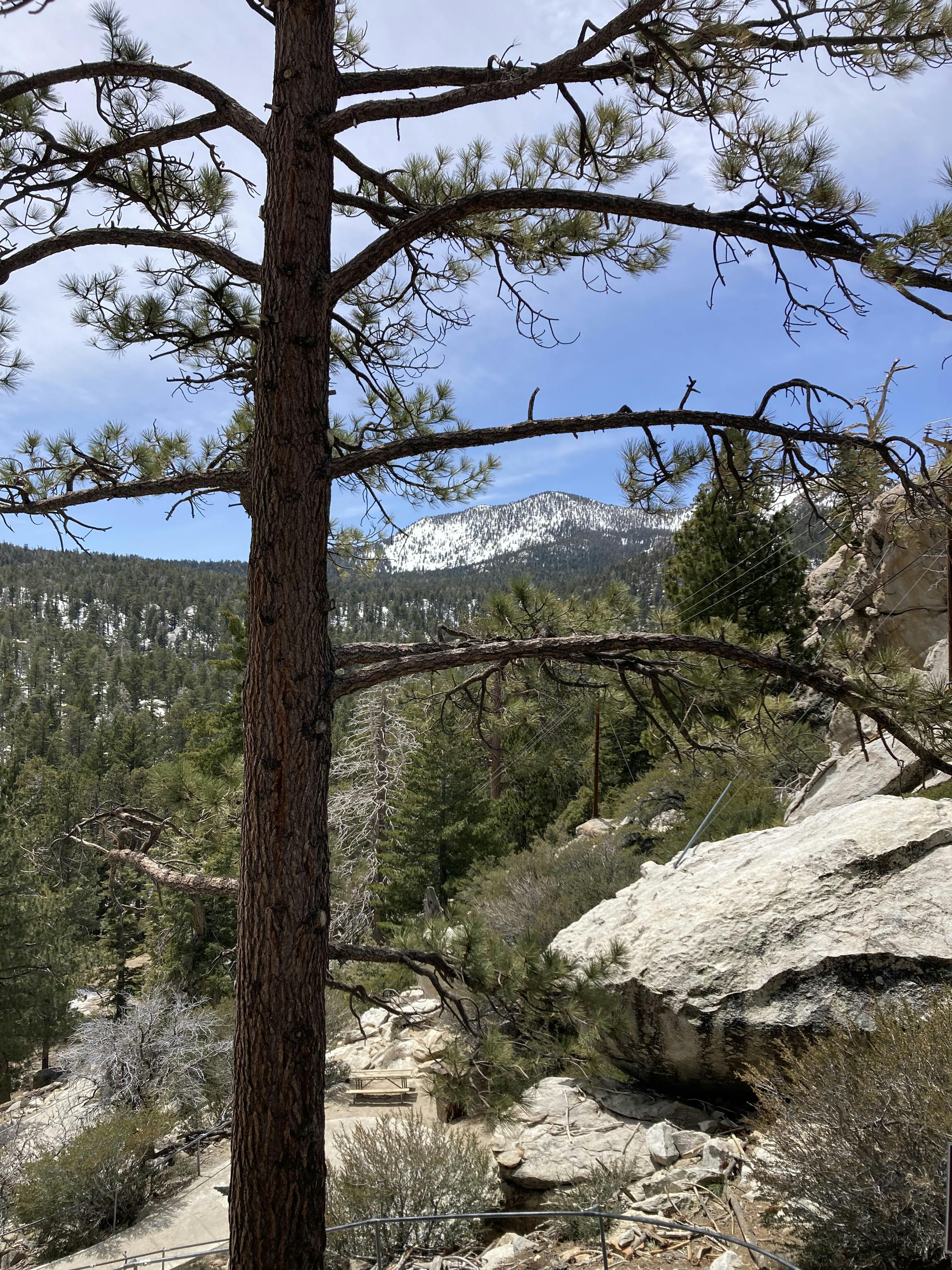 Palm Springs Aerial Tramway   E19a7fff01664e70a1444d7f7141486d 