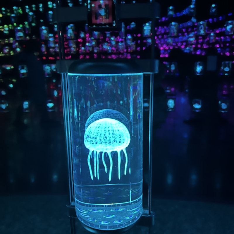 The Museum of the Future Tickets Tiqets The Museum of the Future Tickets Tiqets