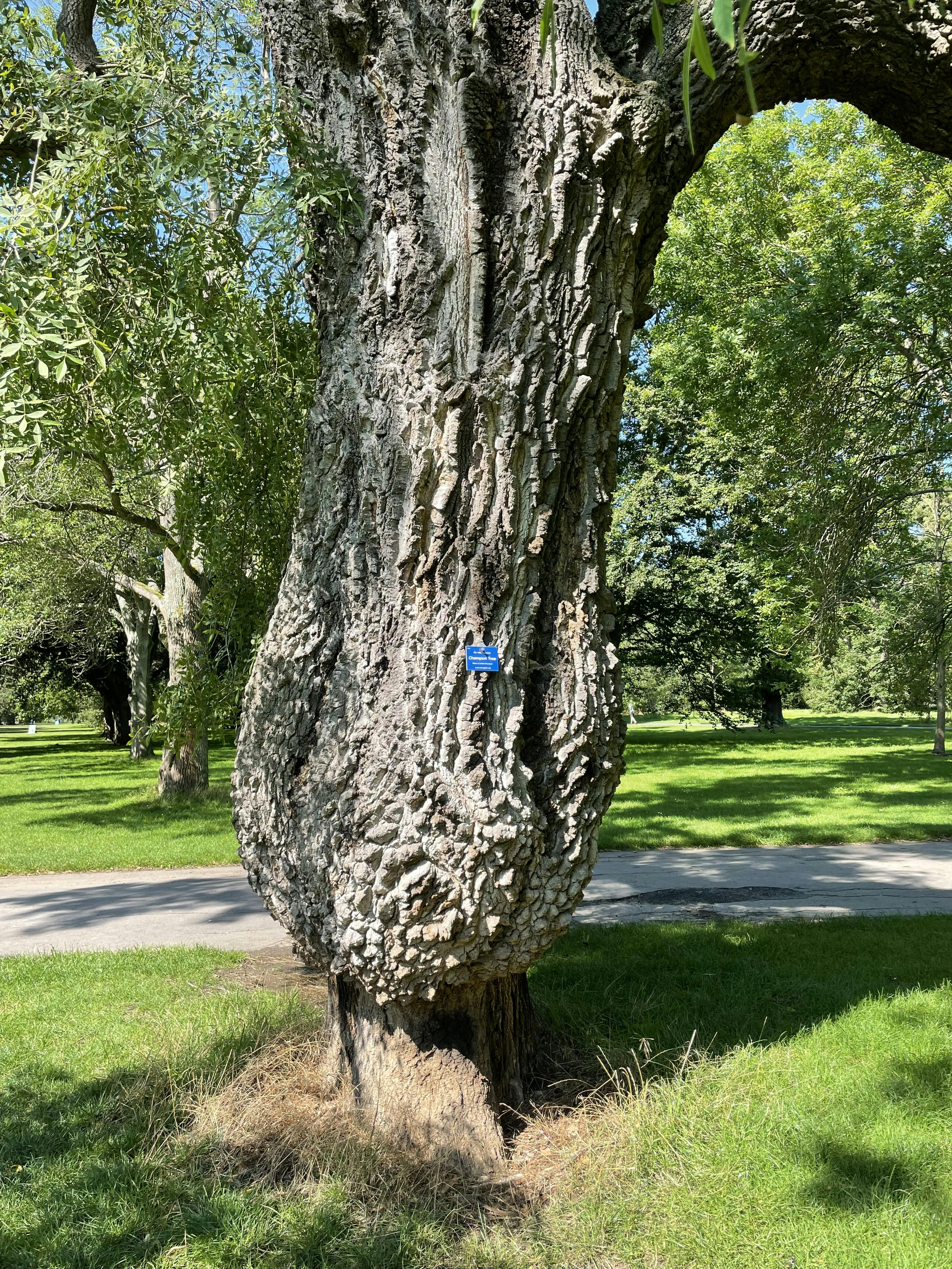 Tickets Kew Gardens London