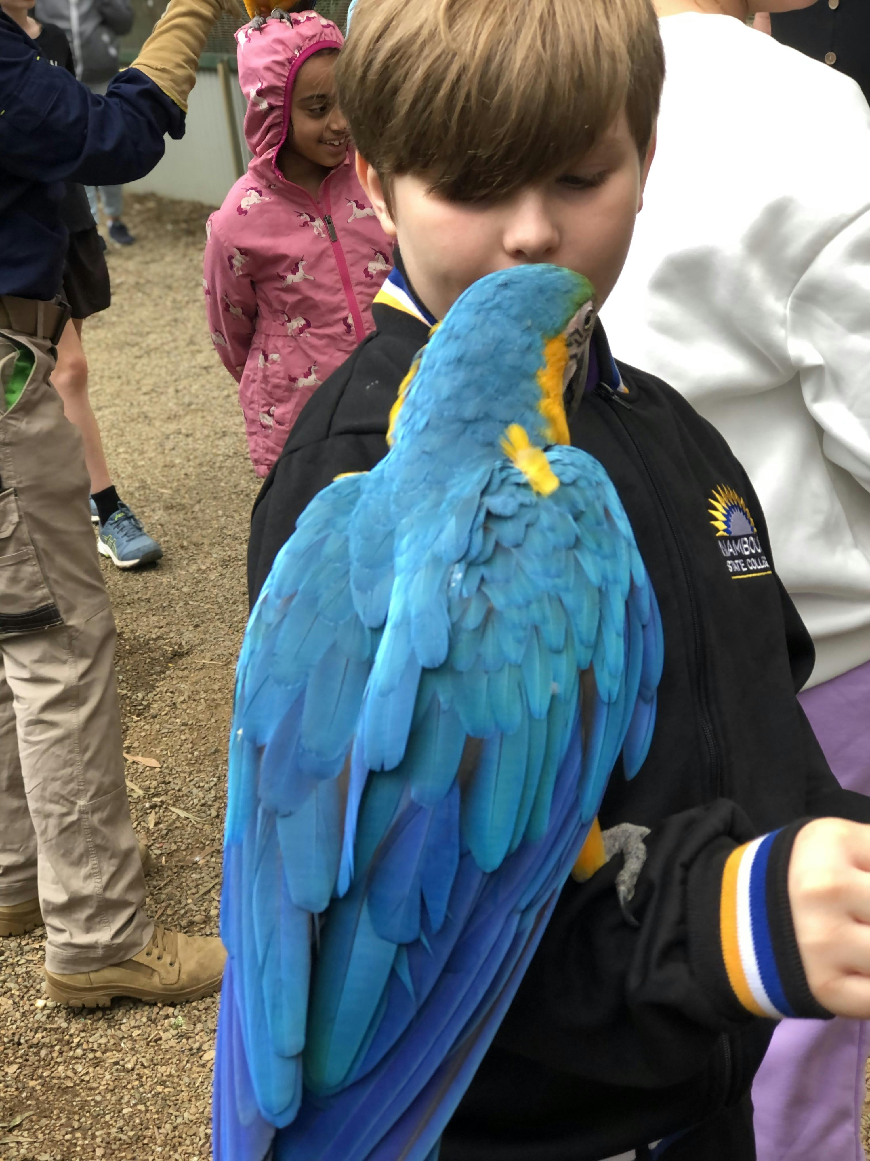 Maleny Botanic Gardens & Bird World Tickets Maleny