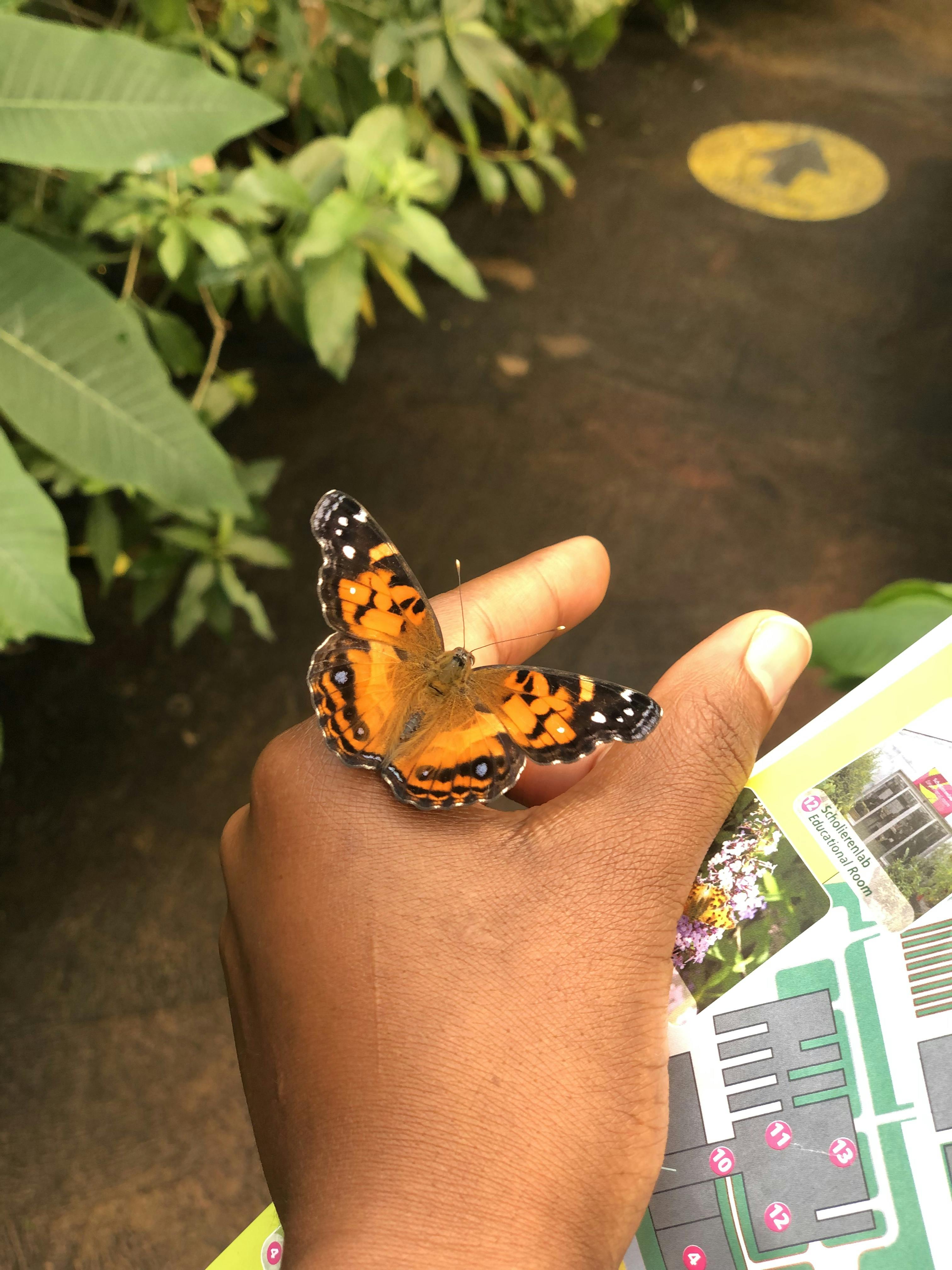 Tickets Botanische Tuinen Utrecht Utrecht