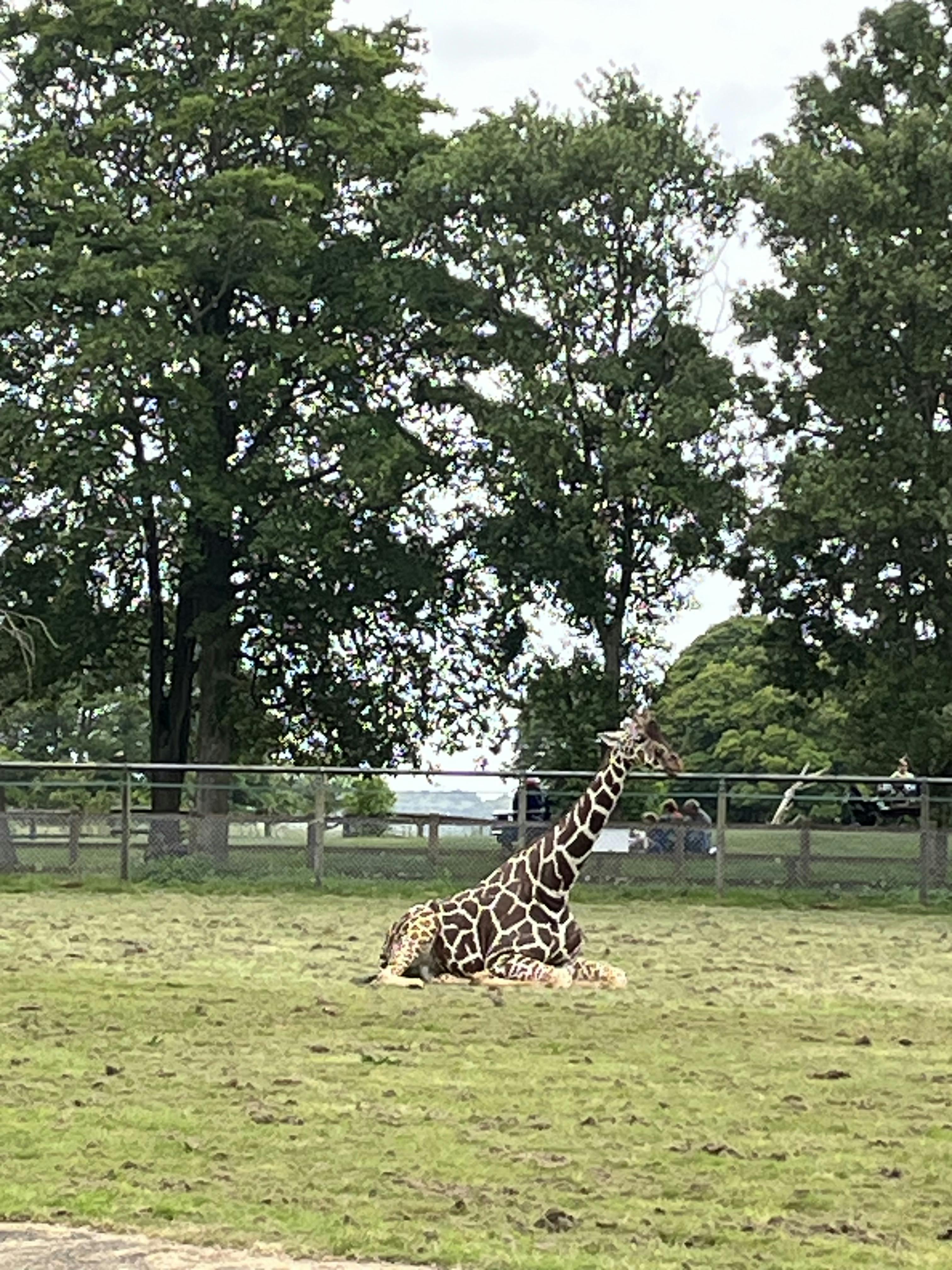 ZSL Whipsnade Zoo Tickets Whipsnade