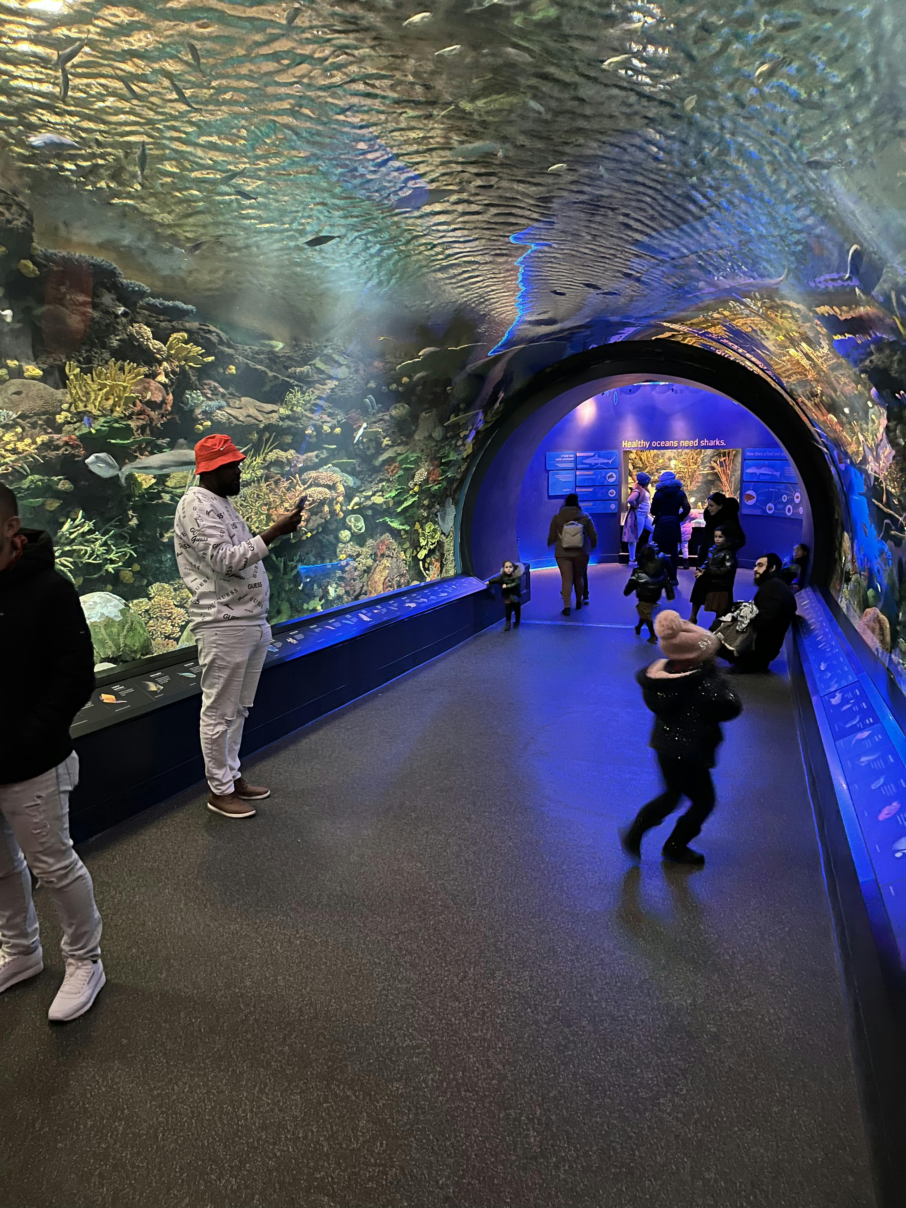 New York Aquarium Tickets Tiqets