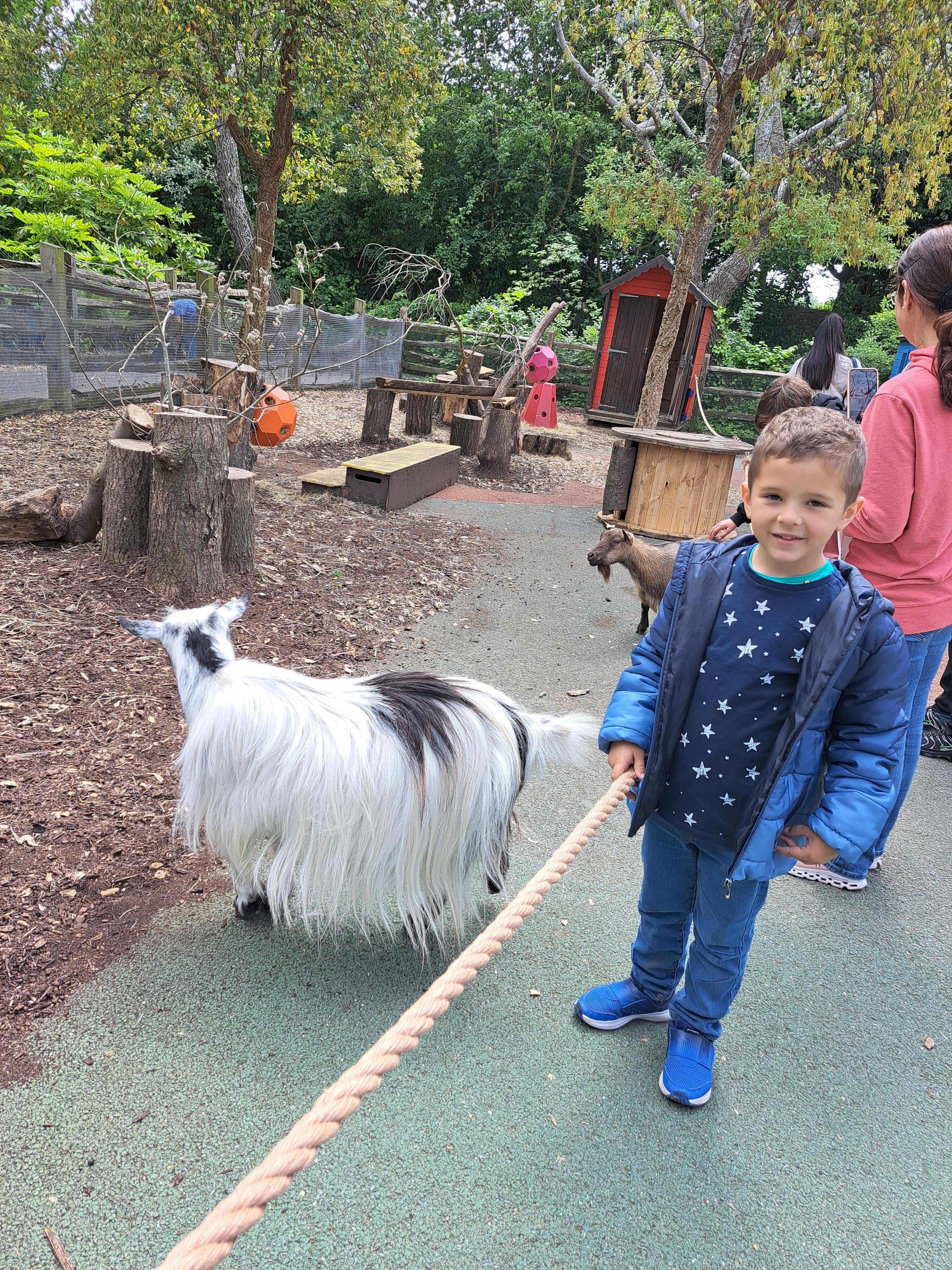 London Zoo Tickets Tiqets