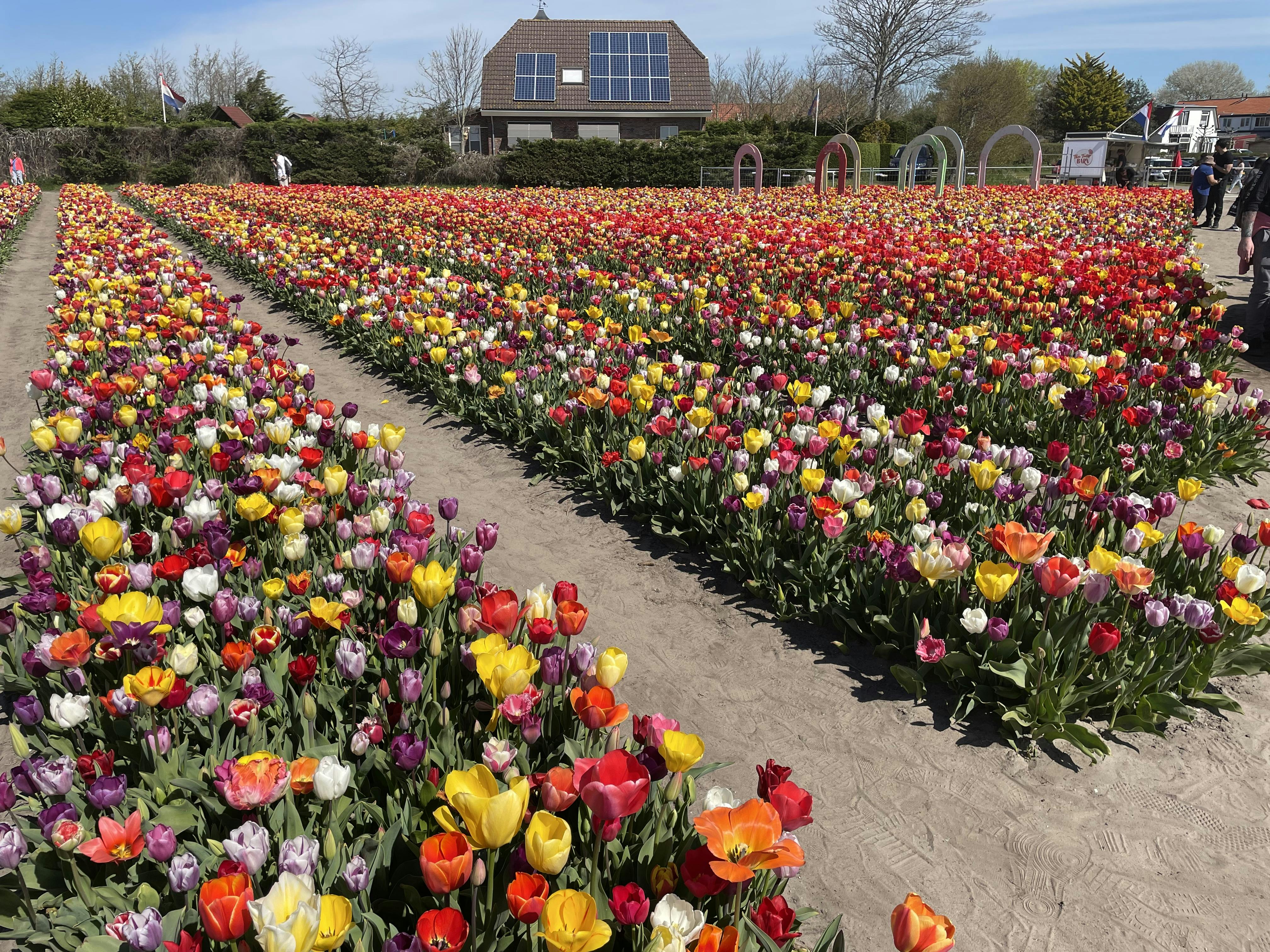 The Tulip Barn Tickets Tiqets