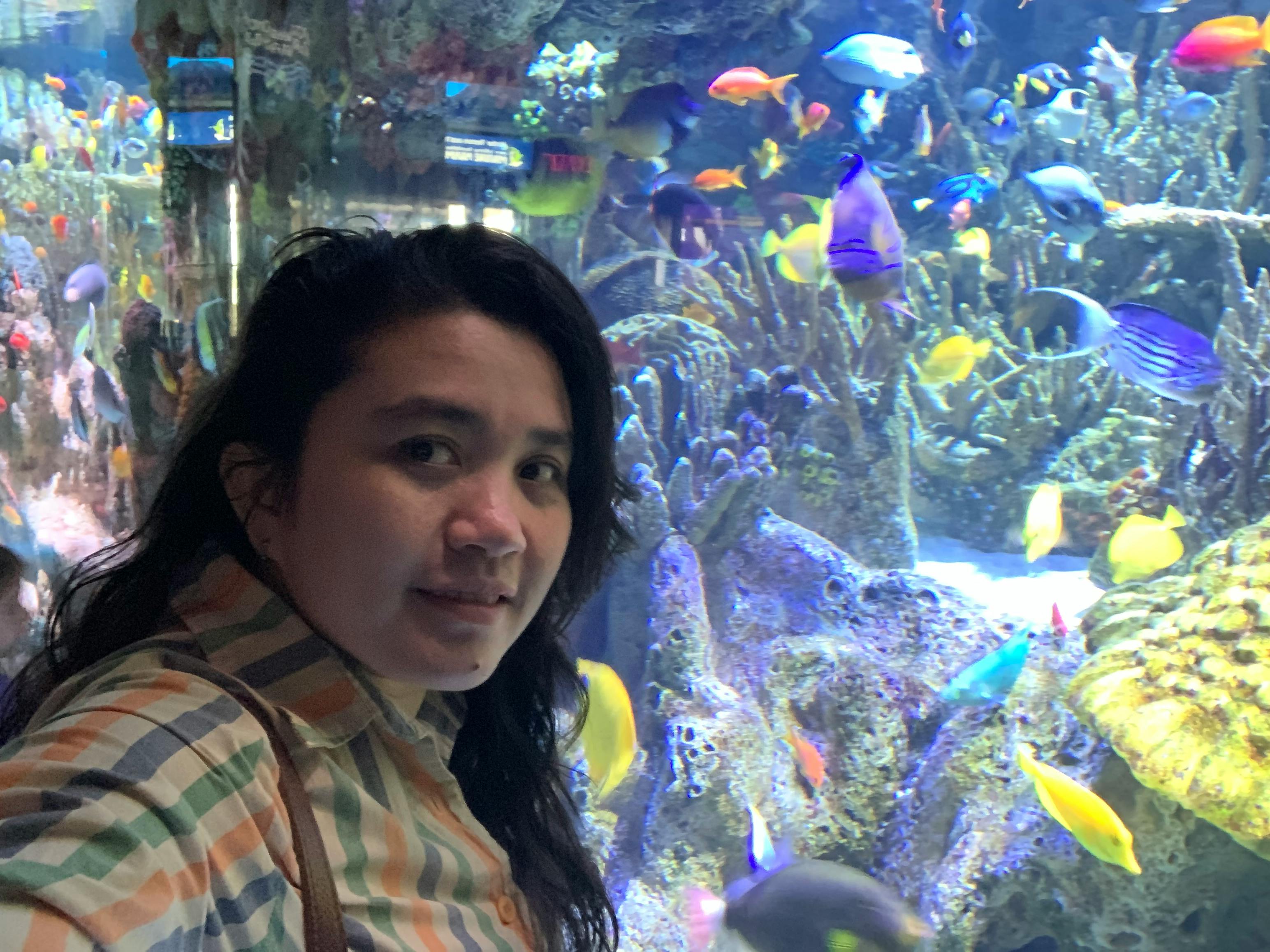 New England Aquarium Tickets Boston