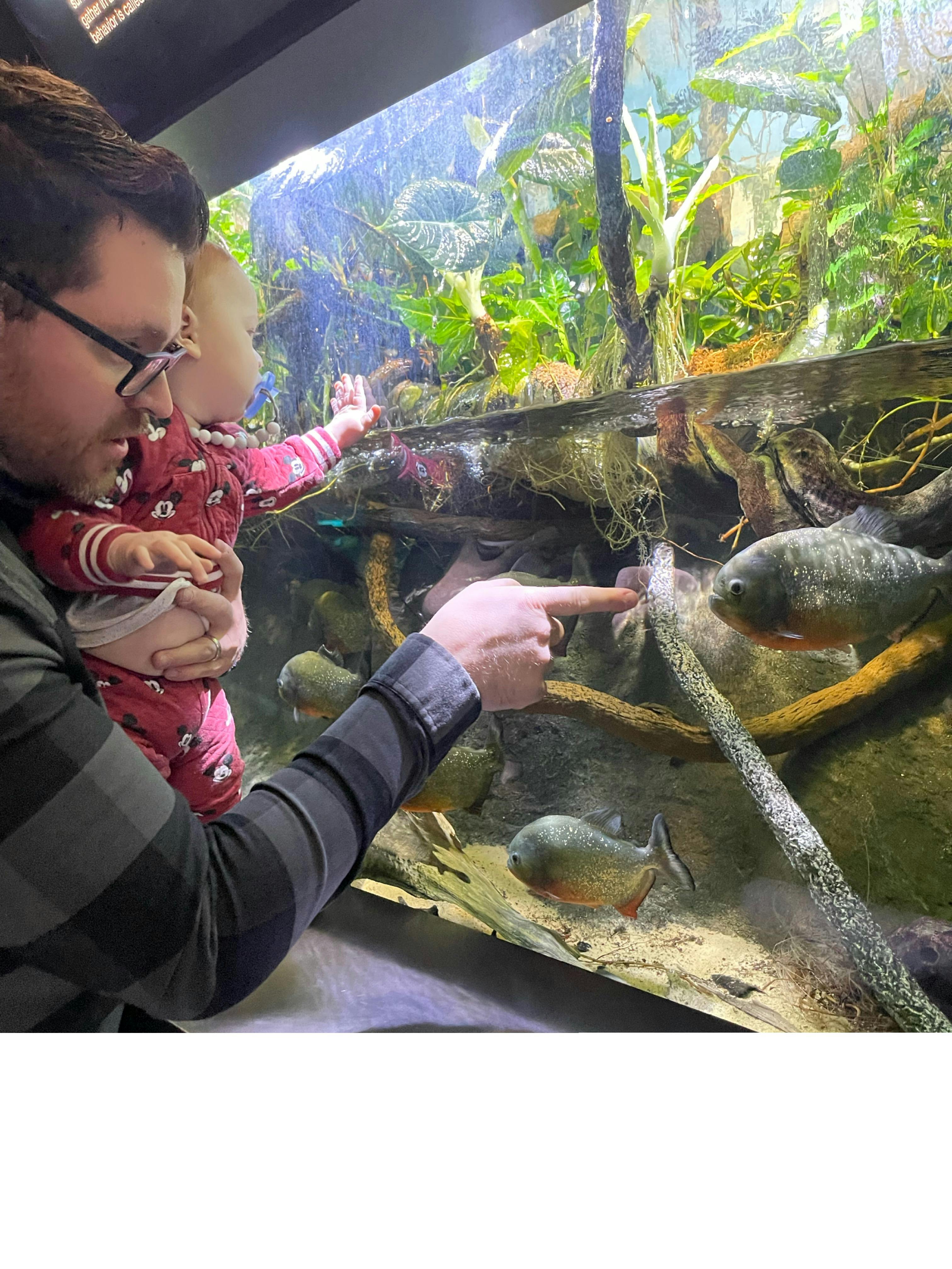 New England Aquarium tickets Boston