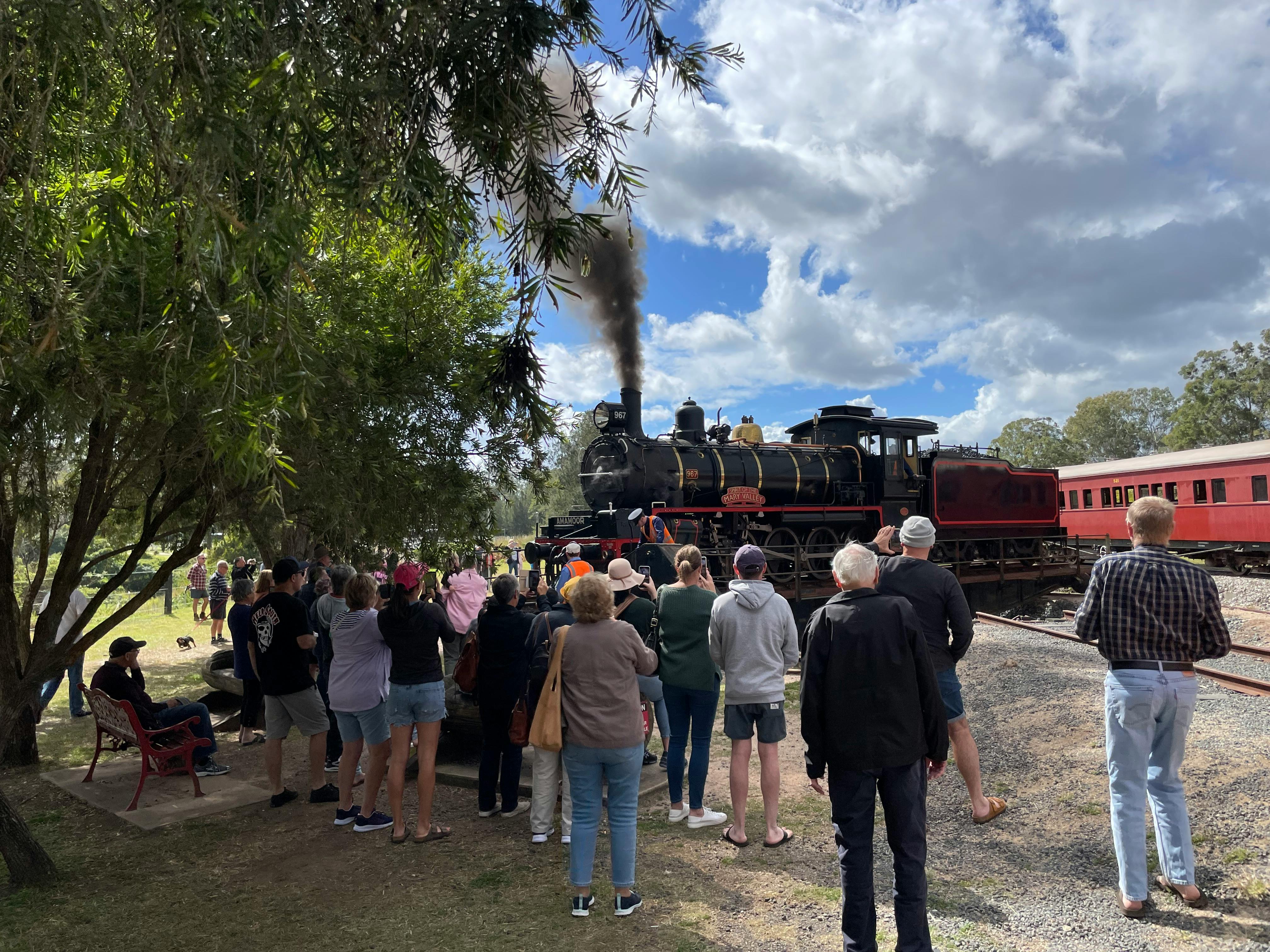 Mary Valley Rattler, Gympie | Book Tickets, Tours & More