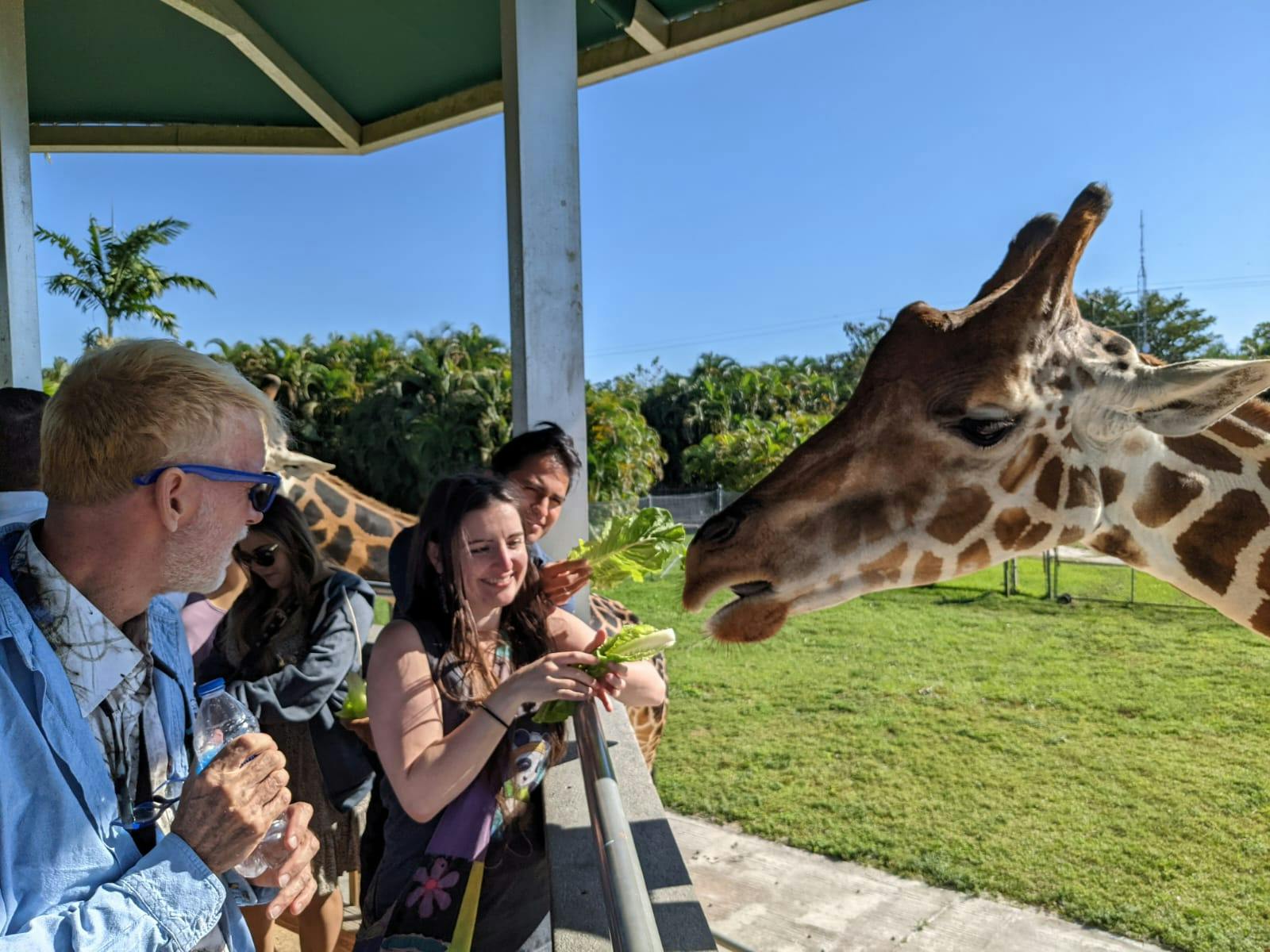 Lion Country Safari tickets Loxahatchee