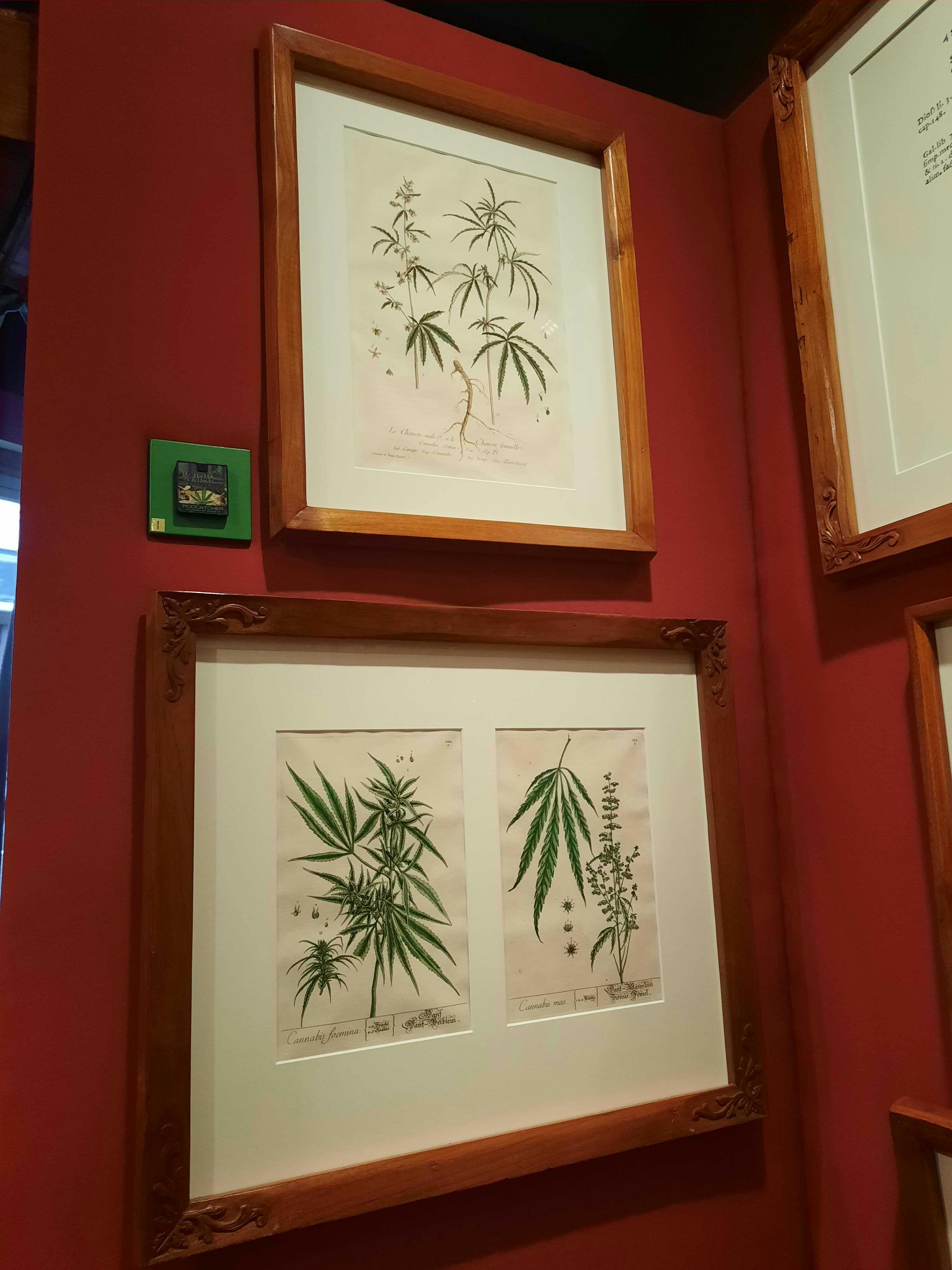 Hash Marihuana & Hemp Museum Tickets | Amsterdam