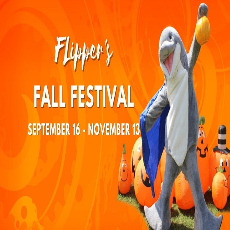 Get tickets for Flipper’s Fall Festival at Miami Seaquarium. 
