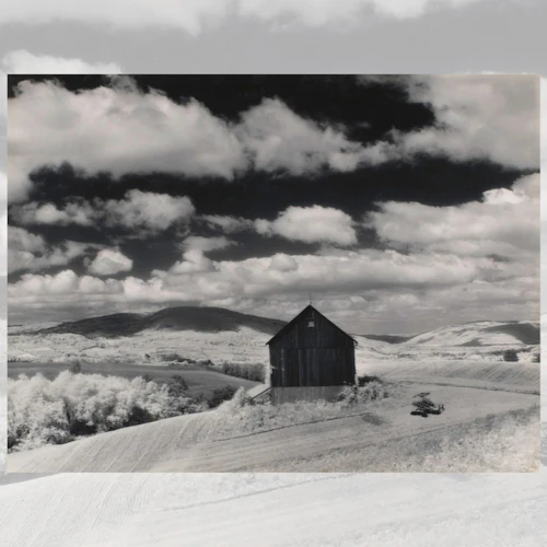 Minor White