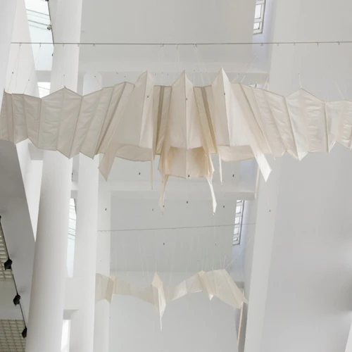 Aurelia Munoz’s Kite-Birds