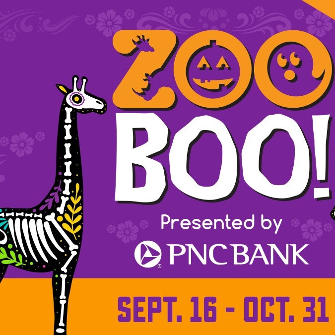 Evento speciale Zoo Boo!, Zoo di San Antonio