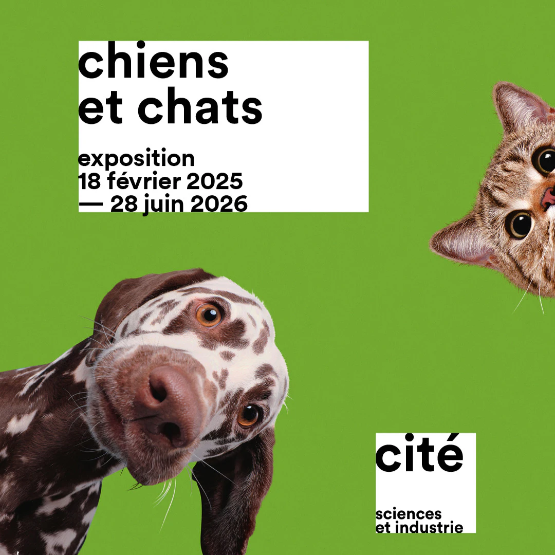 Chiens et chats