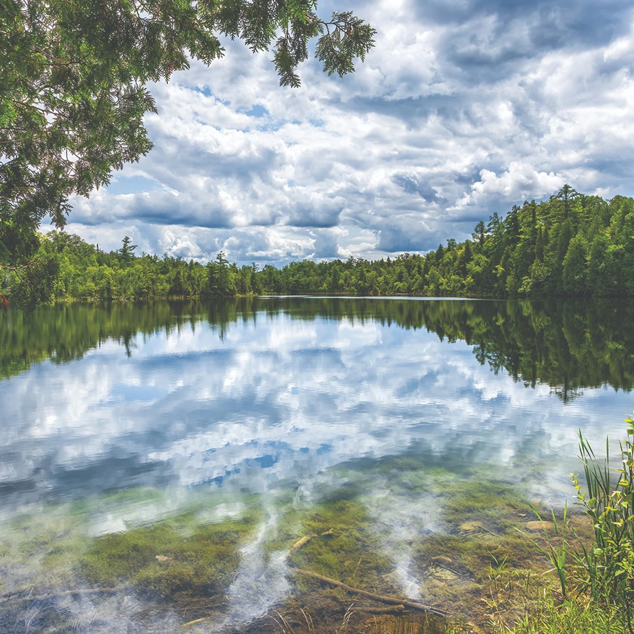 Crawford Lake: the Golden Spike