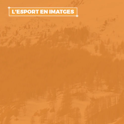 It's Your Vibe: Juegos Olímpicos de Invierno de Milano Cortina 2026
