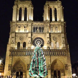 Notre-Dame-katedralen upplyst på natten med en stor, dekorerad julgran som visas framtill.