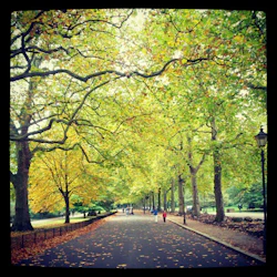 Trädkantad väg med fallande löv, människor som går i fjärran och solljus som filtrerar genom grenarna.