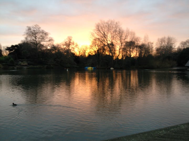 En fridfull sjö i solnedgången, med reflektioner av nakna träd och en enda anka som simmar i förgrunden.