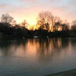 En fridfull sjö i solnedgången, med reflektioner av nakna träd och en enda anka som simmar i förgrunden.