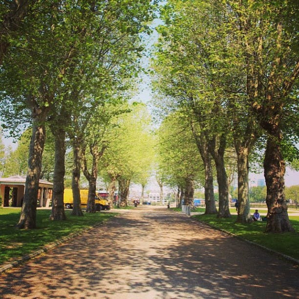 En trädkantad stig i en park med byggnader och fordon delvis synliga på vänster sida.