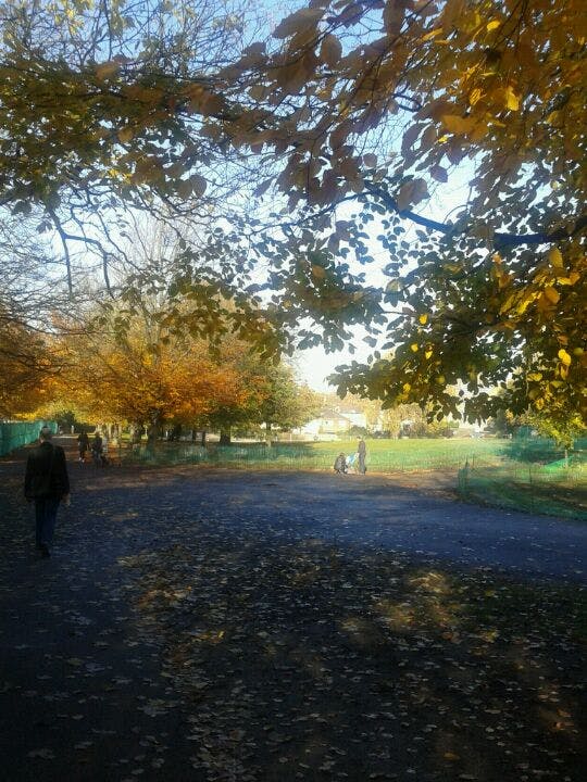En stig täckt av fallna löv i en park, omgiven av träd med höstlövverk och några personer som går.