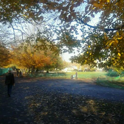 En stig täckt av fallna löv i en park, omgiven av träd med höstlövverk och några personer som går.