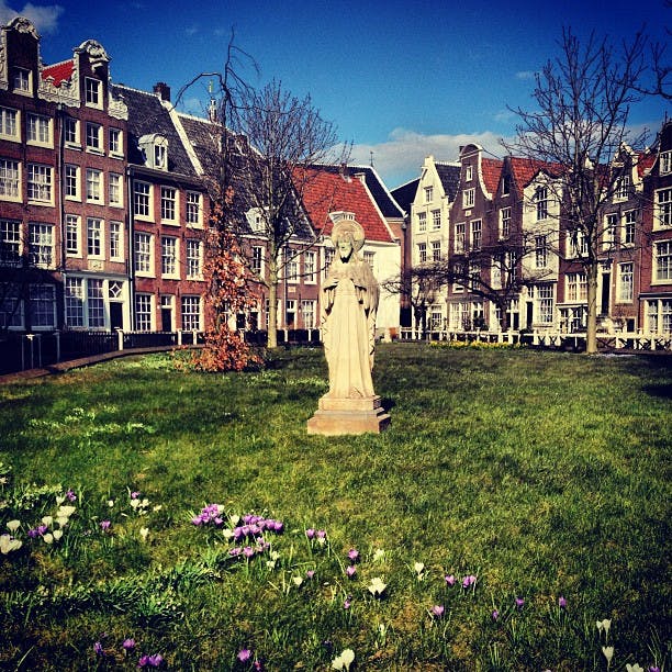 En stenstaty står på en gräsbevuxen gräsmatta prydd med lila och vita blommor, omgiven av historiska byggnader i europeisk stil.