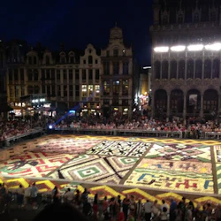 En stor, färgstark blommig uppvisning på ett torg, omgiven av historiska byggnader och en folkmassa som observerar på natten.