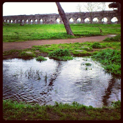 Forntida stenakvedukt med valv, grönt gräs, en smutsväg och en liten damm med reflekterande träd i förgrunden.