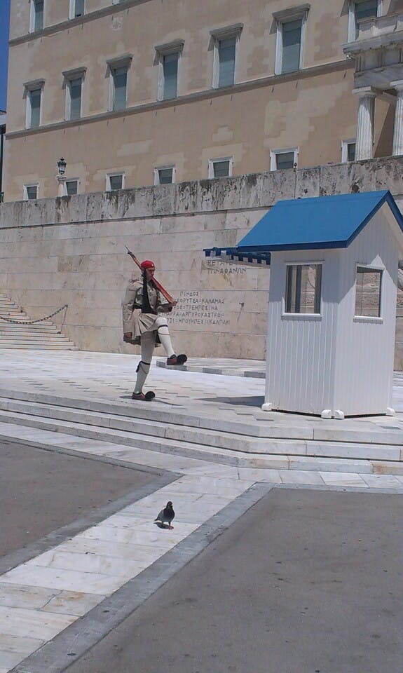 En vakt i traditionell uniform utför en marsch bredvid ett vitt och blått vakthus framför en historisk byggnad. En duva ligger på trottoaren.