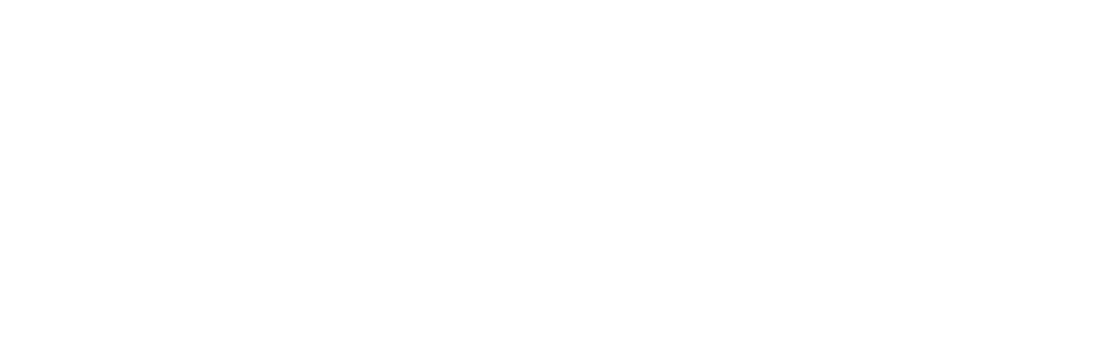 Venice Pass