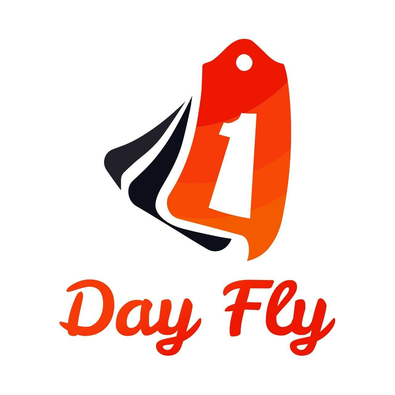 1DayFly.com