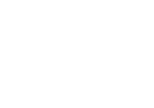 Florence Insights
