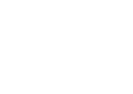 Florence Insights