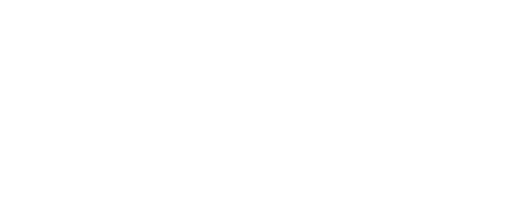 Les Pépites de France